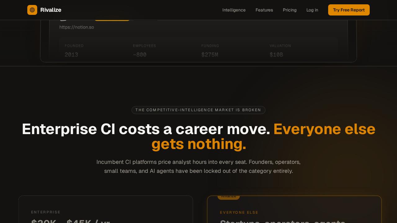 Rivalize pricing tiers showing free report, Starter $29, Pro $79, Agency $199.